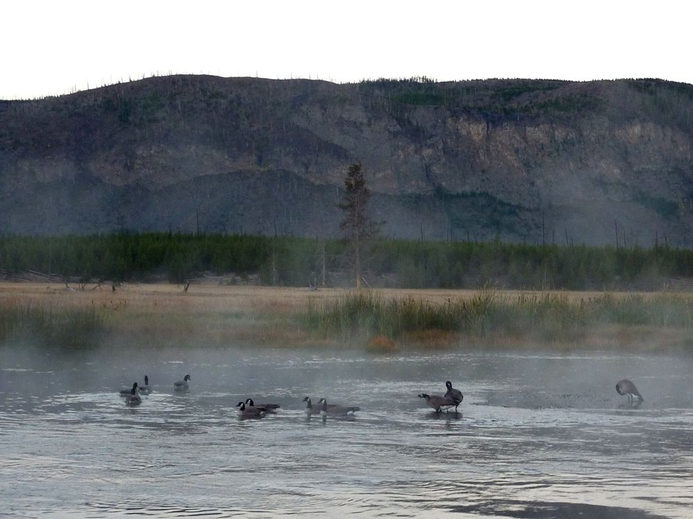 Yellowstone (83).JPG